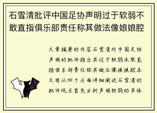 石雪清批评中国足协声明过于软弱不敢直指俱乐部责任称其做法像娘娘腔